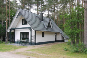 Ferienhaeuser am Drewitzer See in Drewitz